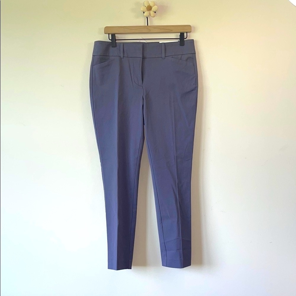 LOFT Purple Skinny Pants with Tailored Silhouette